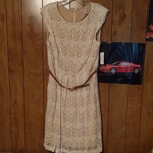 NWT Dressbarn lace dress size 16 petite